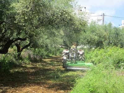 Καθαρισμό οικοπέδων ζητεί ο Δήμος Καλαμάτας