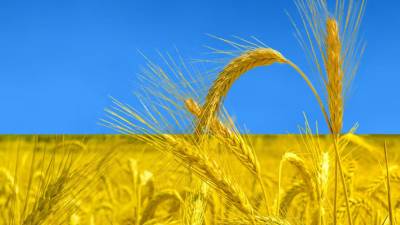 Ουκρανία: Εξήγαγε 1.000.000 τόνους σιτηρών τον Απρίλιο σε πείσμα του πολέμου