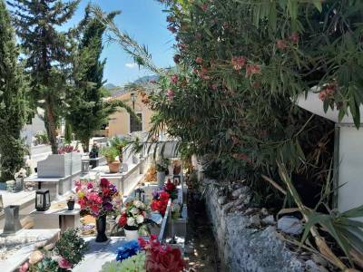 Χρειάζεται παρέμβαση καθαρισμού στο νεκροταφείο Καλαμάτας