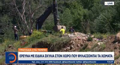 Τέμπη: Έρευνα με ειδικά σκυλιά στον χώρο που φυλάσσονται τα χώματα (Βίντεο)