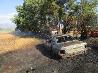 Καλαμάτα: Πυρκαγιά πλησίασε σπίτια στον Μπουρνιά (βίντεο-φωτογραφίες)