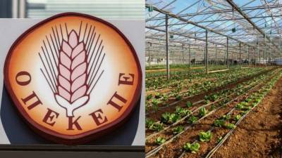 OΠΕΚΕΠΕ: Πότε θα δουν οι αγρότες τα λεφτά των επιδοτήσεων (βίντεο)
