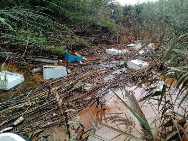 Εκτίμηση ζημιών σε Αντικάλαμο και Ασπρόχωμα από τον ΕΛΓΑ