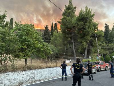 ΟΑΚ Μεσσηνίας: Συνδρομή σε 37 πυρκαγιές και 95 περιπολίες κατά την αντιπυρική περίοδο