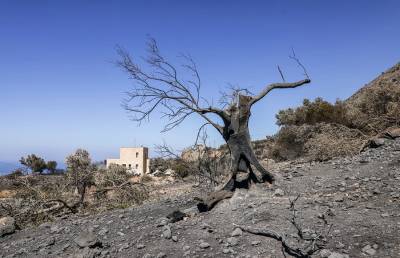 Πυρκαγιές: 11 συλλήψεις σε όλη τη χώρα (Βίντεο)