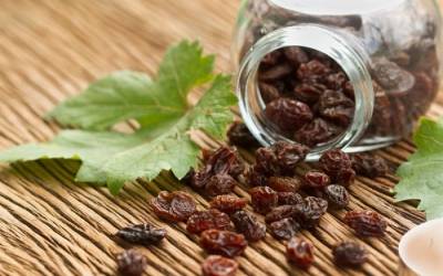 Εκδήλωση για την κορινθιακή σταφίδα στο πάρκο του Λιμενικού Καλαμάτας