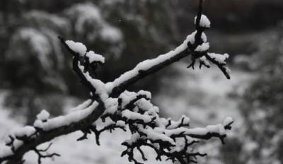 Καιρός: Παγετός στα βόρεια και στα κεντρικά της χώρας