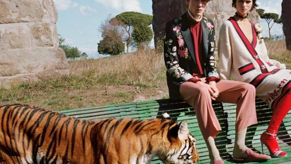 Οργάνωση ζητά από τον Gucci να σταματήσει να χρησιμοποιεί τίγρεις στις διαφημίσεις του