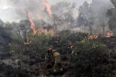 Φωτιά σε δασική έκταση στην Πιερία