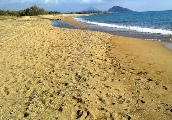 Ζητούν έγκαιρο καθαρισμό της παραλίας σε Ελαία και Καλό Νερό