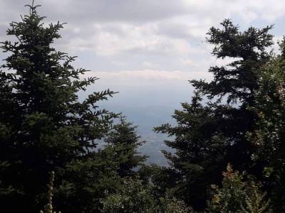 Δασική αναψυχή στον Ταΰγετο: Μια νέα πρόταση, ένας άλλος τρόπος ψυχαγωγίας και ολιστικής προσέγγισης