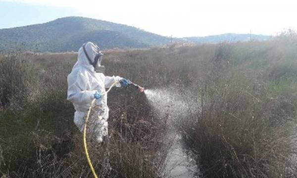 ΚΕΔΕ: Και στην Αττική να γίνουν ψεκασμοί «από αέρος κι εδάφους» κατά των κουνουπιών