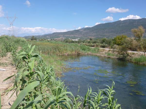 Eθελοντικός καθαρισμός του ποταμού Aρι με κάλυψη από τον ΣΚΑΪ