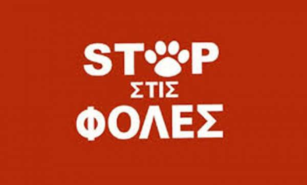 Καταγγελία για φόλες στο Αβραμιού