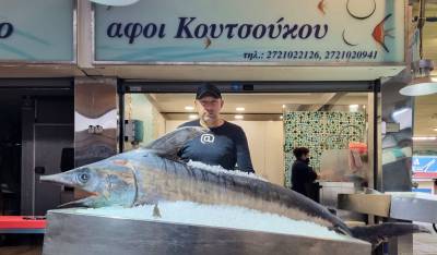 Ξιφίας 60 κιλών τράβηξε τα βλέμματα στην Κεντρική Αγορά Καλαμάτας
