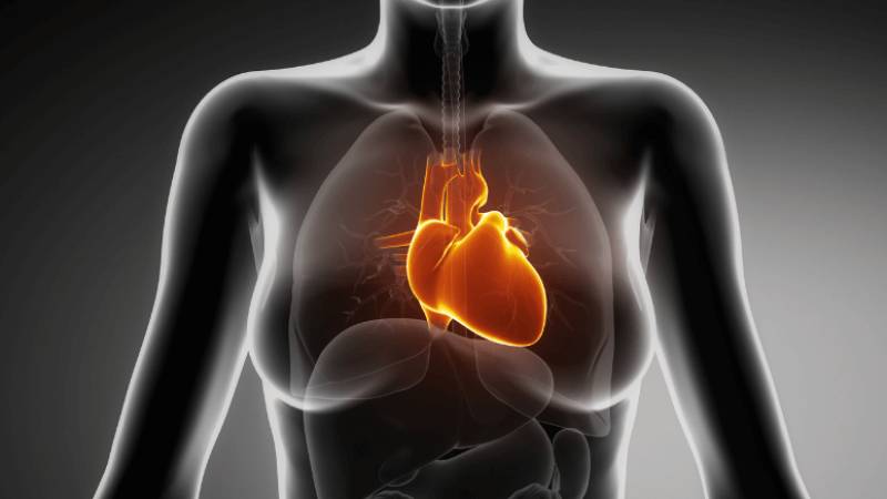 Οι γυναίκες κινδυνεύουν περισσότερο από τη συχνότερη καρδιακή αρρυθμία, σύμφωνα με νέα μελέτη