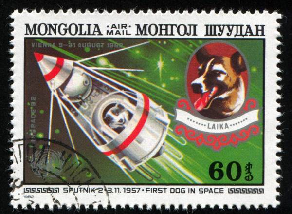 Πριν από 60 χρόνια, η ΕΣΣΔ έστελνε τη σκυλίτσα Λάικα στο διάστημα