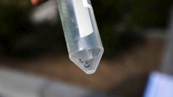Nέο γενετικό όπλο στη μάχη κατά της ελονοσίας από Έλληνα επιστήμονα