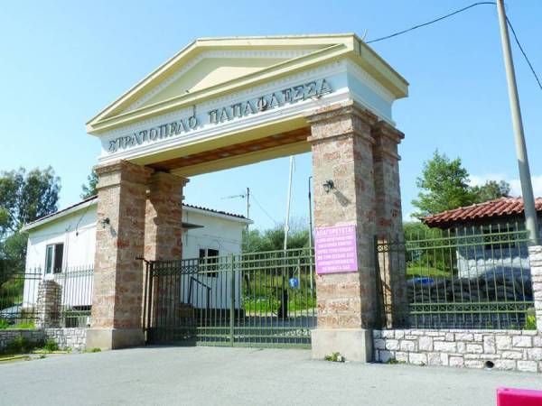 Την επαναλειτουργία Κέντρου Νεοσυλλέκτων Καλαμάτας ζητεί ο Λαμπρόπουλος