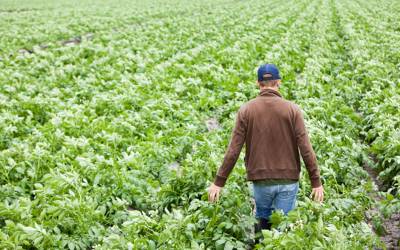 100.000 ευρώ πριμ πρώτης εγκατάστασης για νέους αγρότες