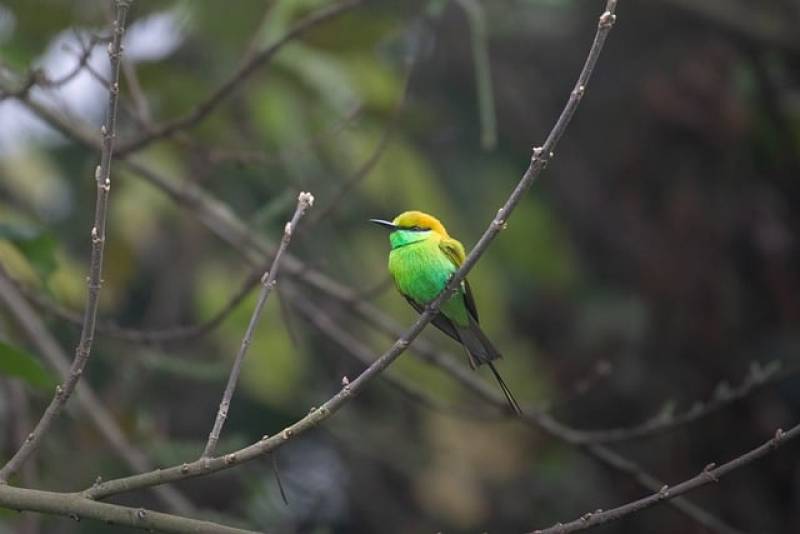 Τι λένε τα ζώδια σήμερα (17/2)
