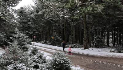 Καιρός: Στην «κατάψυξη» όλη η χώρα τη Δευτέρα (βίντεο)