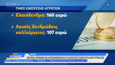 ΕΛΓΑ: Με πόσα χρήματα θα αποζημιωθούν οι πληγέντες παραγωγοί από πυρκαγιές