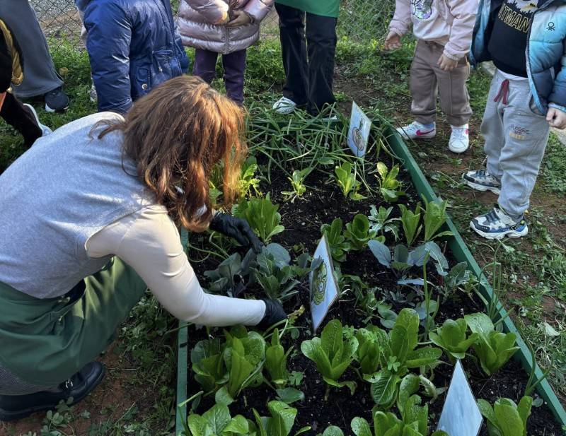 Εκπαιδευτική δράση στο 2ο Νηπιαγωγείο Μεσσήνης