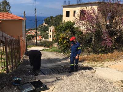 Επιχείρηση απεγκλωβισμού σκύλου από φρεάτιο στην Κυπαρισσία