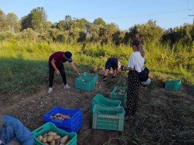 Ολοκληρώθηκε η δράση «Πατάτες για Καλό Σκοπό»