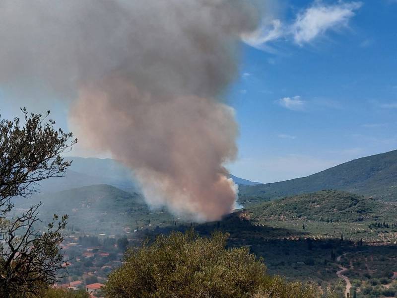 Μεσσηνία: Κάηκαν 220 στρέμματα στο Ψάρι (φωτογραφίες)