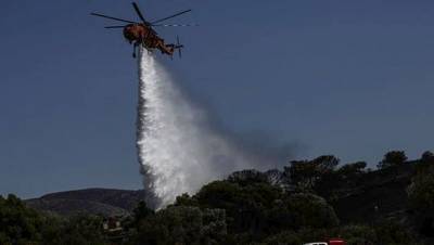 Μεσσηνία: Φωτιά σε δασική έκταση στην περιοχή Άγιος Αθανάσιος