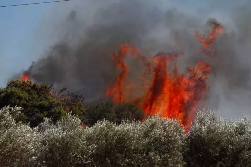 Υψηλός κίνδυνος πυρκαγιάς σήμερα στη Μεσσηνία
