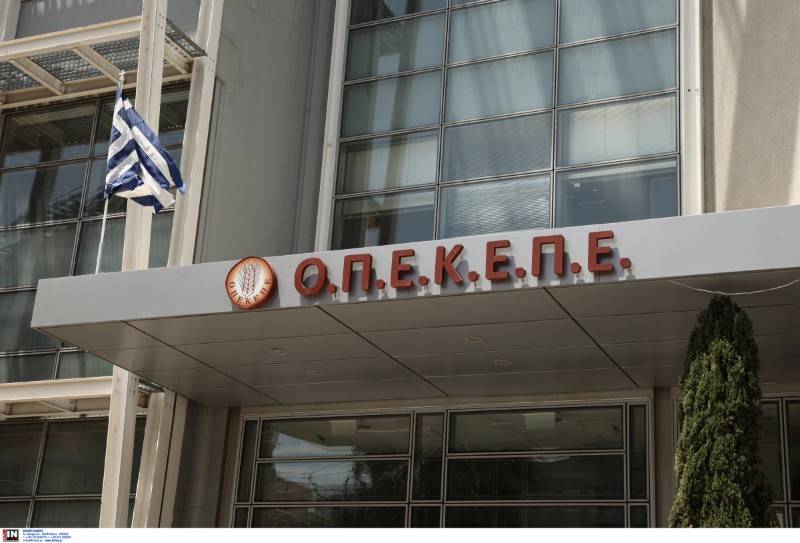 Η Ενωση Μεσσηνίας είχε ενημερώσει τον ΟΠΕΚΕΠΕ: “Περίεργα” κρητικά ΑΦΜ από το 2018 στη Μεσσηνία