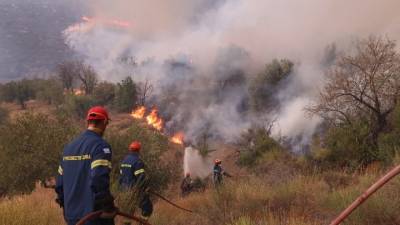 Δύο συλλήψεις για εμπρησμό από πρόθεση σε Λάρισα και Κάρυστο