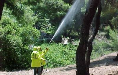 Δακοκτονία από παραγωγούς σε 10 χωριά του Δήμου Πύλου - Νέστορος