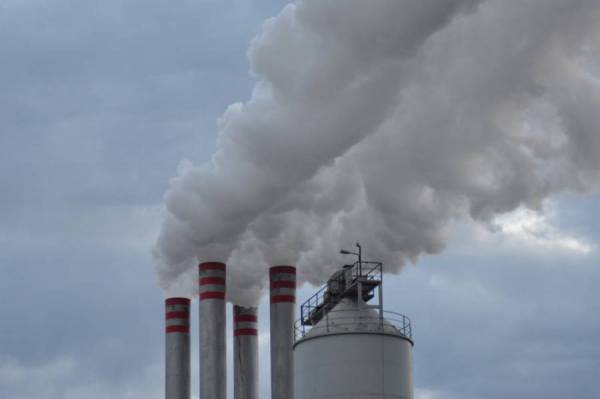 Μεσσηνία: Στοιχεία για τα πυρηνελαιουργεία ζητούν οι ελεγκτές περιβάλλοντος