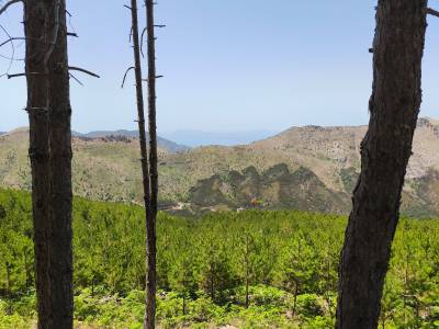 Εμπρησμός Ευρωπαϊκής γης ή εμπρησμός της ζωής