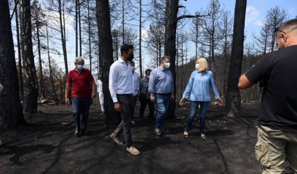 Γεννηματά από Βόρεια Εύβοια: Δεν θα αφήσουμε να γίνει όμηρος ιδιωτικών συμφερόντων