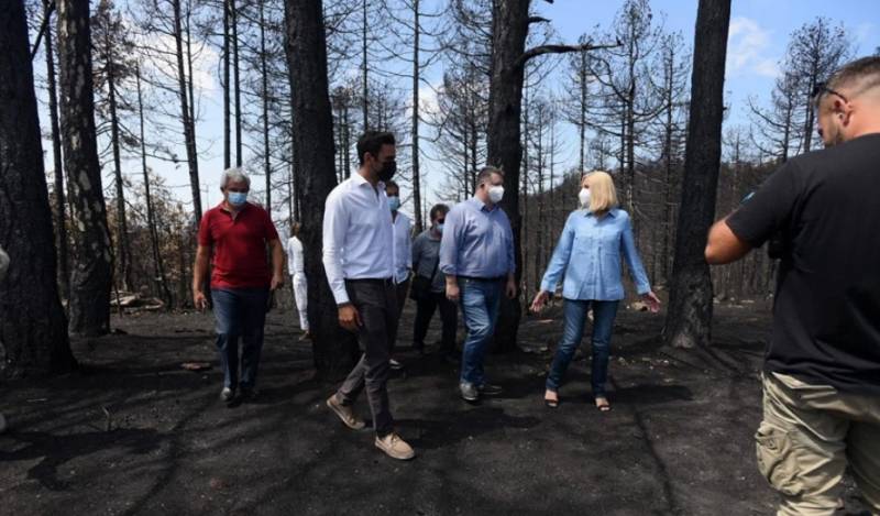 Γεννηματά από Βόρεια Εύβοια: Δεν θα αφήσουμε να γίνει όμηρος ιδιωτικών συμφερόντων
