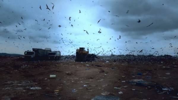 Αττική: Ο γρίφος των σκουπιδιών (Βίντεο)