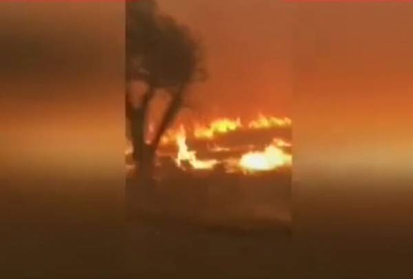 Ανατριχιαστικό βίντεο: Δύο φίλοι περνούν μέσα από τις φλόγες στην προσπάθειά τους να γλιτώσουν