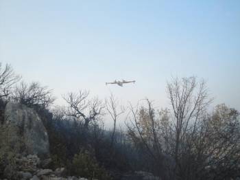 Πενήντα στρέμματα έκαψε η φωτιά στη Μαθία (φωτογραφίες)