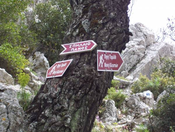 Εξόρμηση στην Πάρνηθα με τον Ορειβατικό Καλαμάτας 
