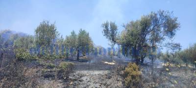 Μεσσηνία: Μεγάλη πυρκαγιά στο Σιδηρόκαστρο Τριφυλίας