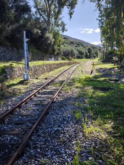«Αγαπάμε Δεσύλλα»: Πνεύμα συνεργασίας και υπερηφάνειας