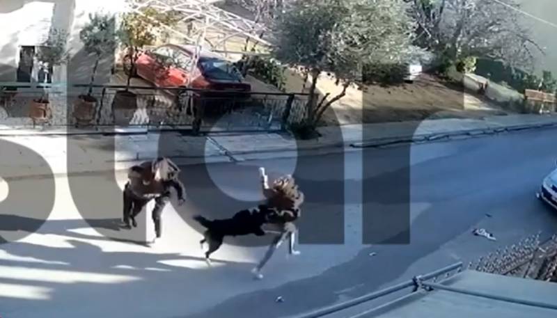 Καματερό: Η στιγμή της επίθεσης σκύλου στον 9χρονο (βίντεο)
