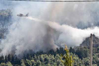Μυτιλήνη: Πυρκαγιά σε δασική περιοχή - Προληπτική εκκένωση των Βατερών