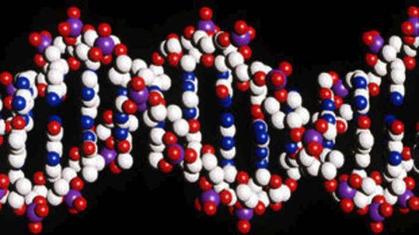 Νέο καλύτερο προγεννητικό τεστ DNA για το σύνδρομο Ντάουν