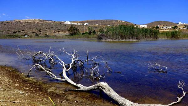 Περιβαλλοντικές οργανώσεις στέλνουν το Κράτος στο ΣτΕ για τις περιοχές Natura